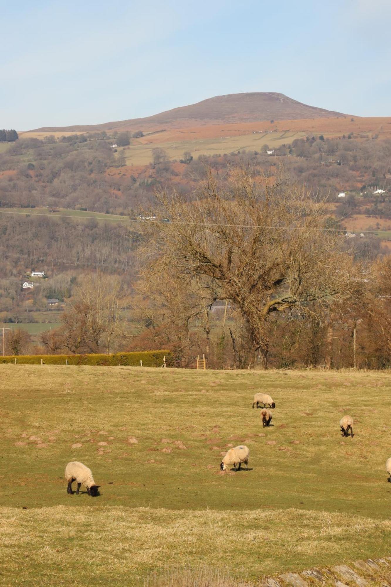 Cowshed In The Black Mountains アバーガベニー エクステリア 写真